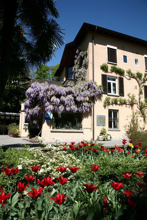 Savosa Youth * Lugano
